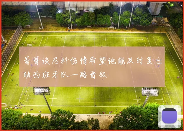 哥哥谈尼科伤情希望他能及时复出助西班牙队一路晋级