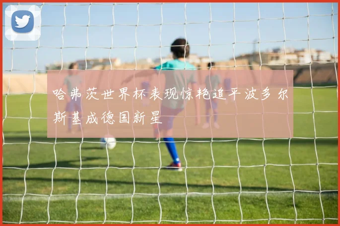 哈弗茨世界杯表现惊艳追平波多尔斯基成德国新星