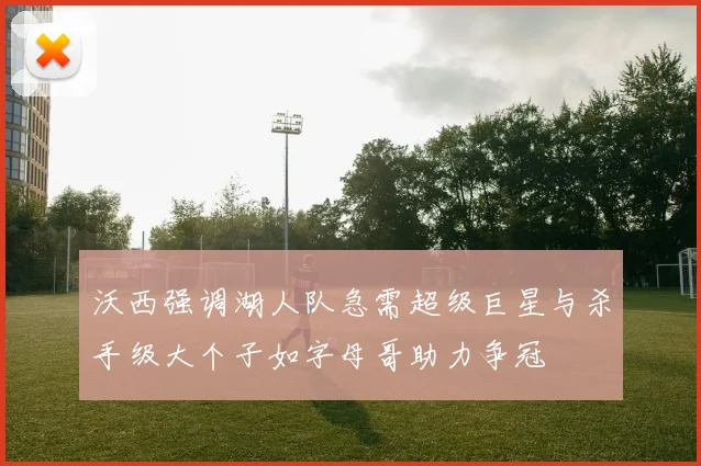 沃西强调湖人队急需超级巨星与杀手级大个子如字母哥助力争冠